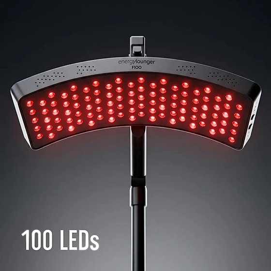 EnergyLounger F100